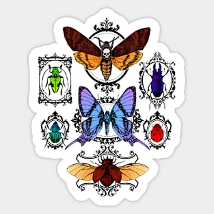 Framed Insects Sticker